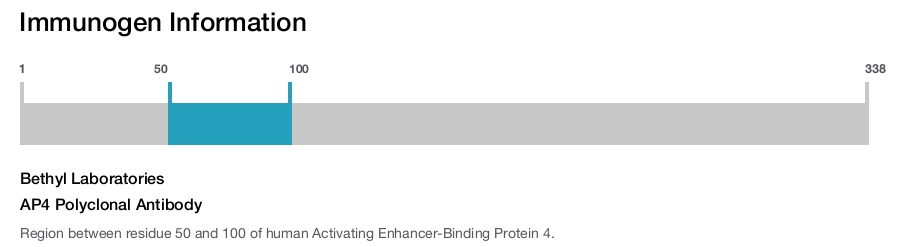 AP4 Polyclonal Antibody
