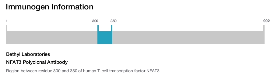 NFAT3 Polyclonal Antibody