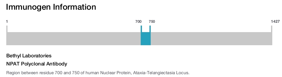 NPAT Polyclonal Antibody