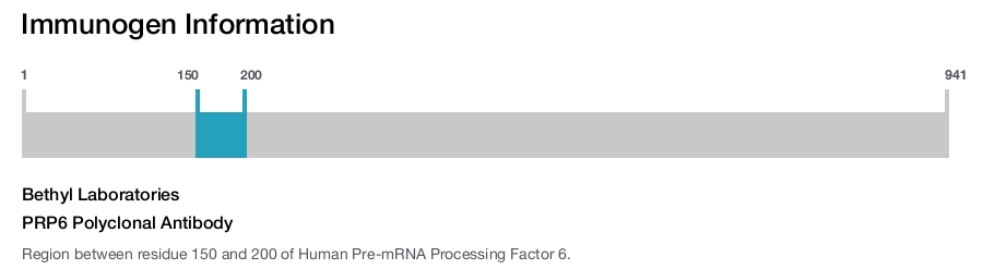 PRP6 Polyclonal Antibody