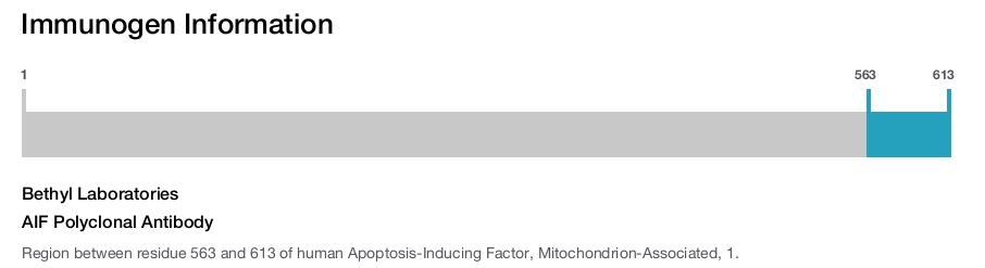 AIF Polyclonal Antibody