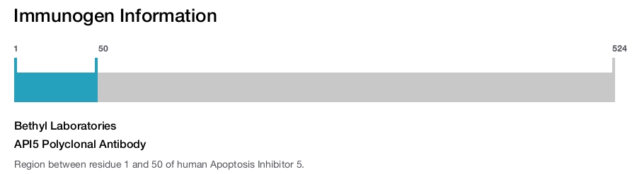 API5 Polyclonal Antibody