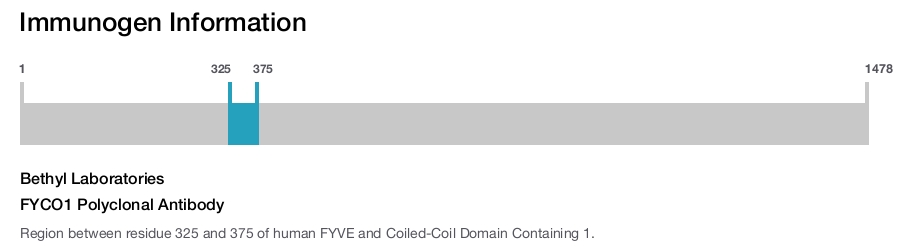 FYCO1 Polyclonal Antibody