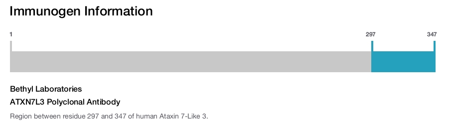 ATXN7L3 Polyclonal Antibody