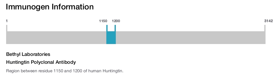 Huntingtin Polyclonal Antibody
