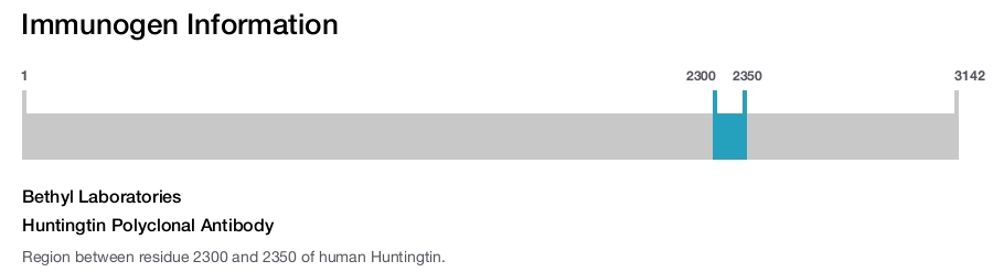 Huntingtin Polyclonal Antibody