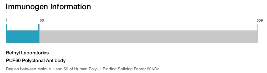 PUF60 Polyclonal Antibody