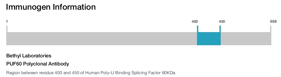 PUF60 Polyclonal Antibody