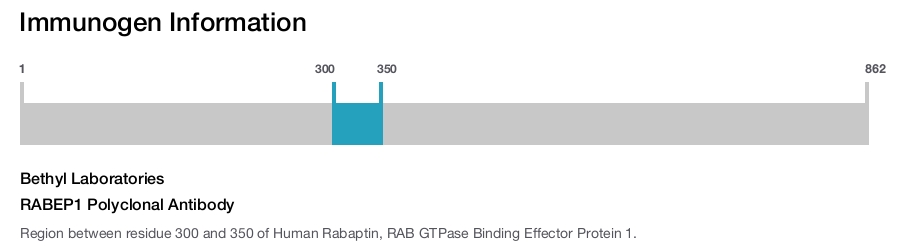 RABEP1 Polyclonal Antibody