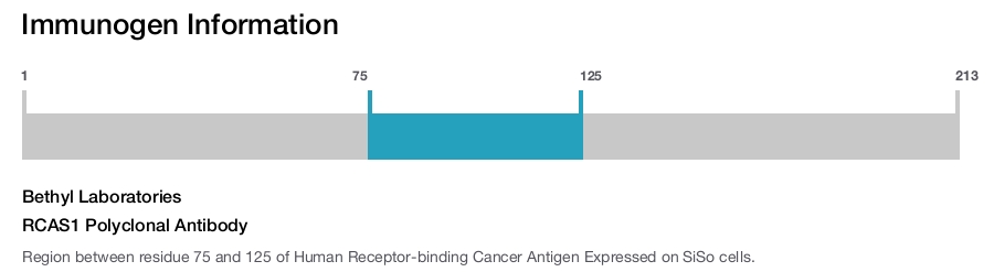 RCAS1 Polyclonal Antibody