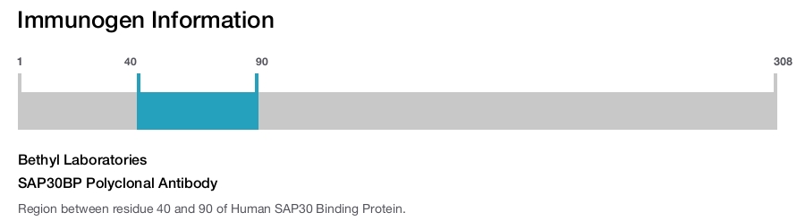 SAP30BP Polyclonal Antibody