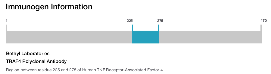 TRAF4 Polyclonal Antibody