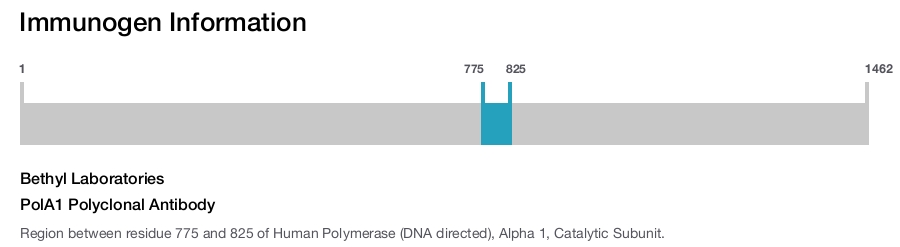 PolA1 Polyclonal Antibody