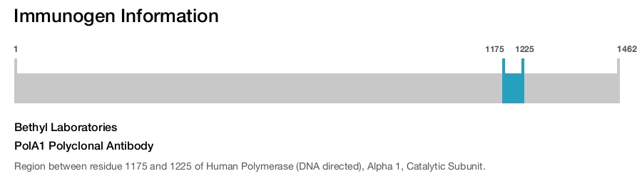 PolA1 Polyclonal Antibody