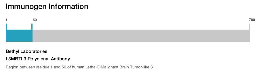 L3MBTL3 Polyclonal Antibody