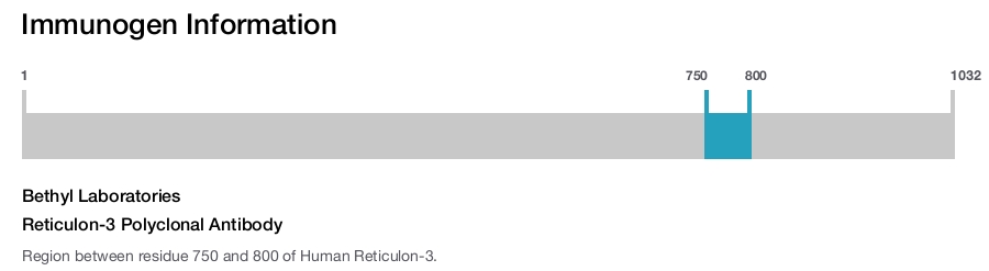 Reticulon-3 Polyclonal Antibody