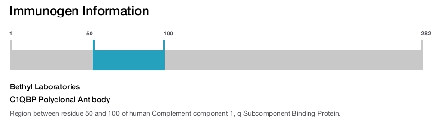 C1QBP Polyclonal Antibody