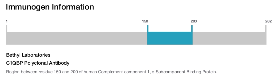 C1QBP Polyclonal Antibody