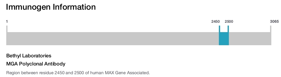 MGA Polyclonal Antibody