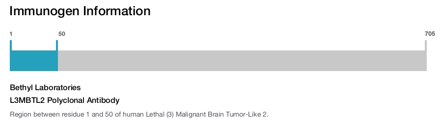 L3MBTL2 Polyclonal Antibody