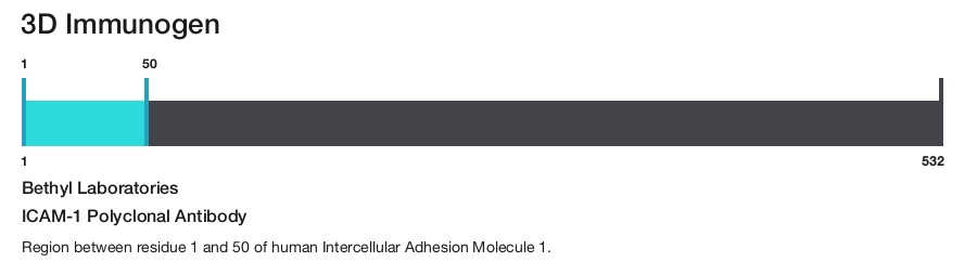 ICAM-1 Polyclonal Antibody