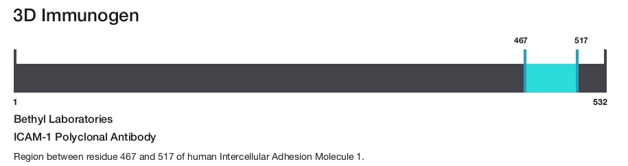 ICAM-1 Polyclonal Antibody