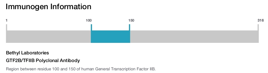 GTF2B/TFIIB Polyclonal Antibody