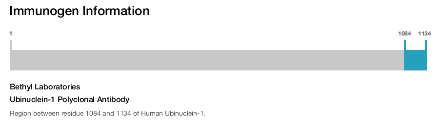 Ubinuclein-1 Polyclonal Antibody