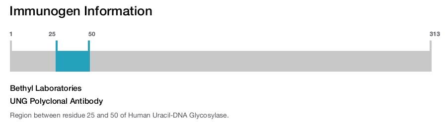 UNG Polyclonal Antibody