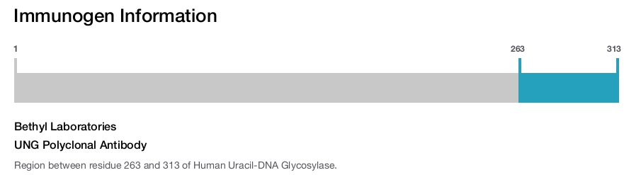 UNG Polyclonal Antibody