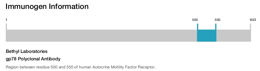 gp78 Polyclonal Antibody