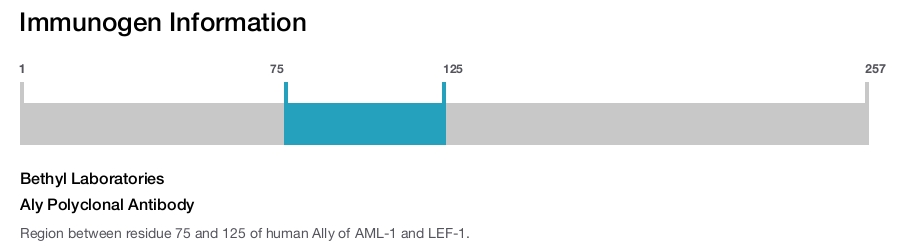 Aly Polyclonal Antibody