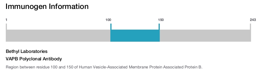 VAPB Polyclonal Antibody