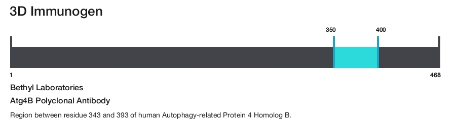 Atg4B Polyclonal Antibody