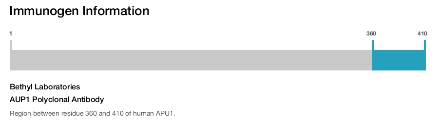 AUP1 Polyclonal Antibody