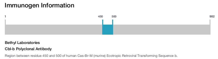 Cbl-b Polyclonal Antibody