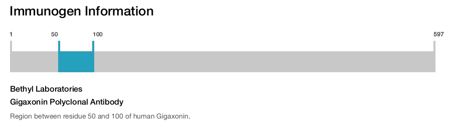 Gigaxonin Polyclonal Antibody