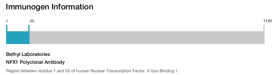 NFX1 Polyclonal Antibody