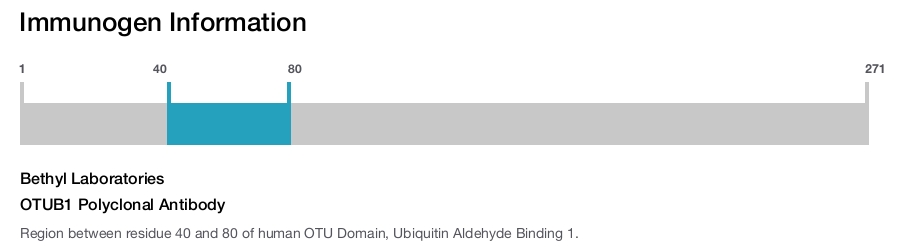 OTUB1 Polyclonal Antibody
