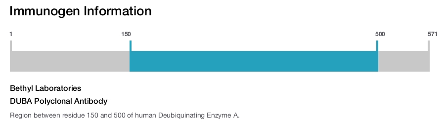 DUBA Polyclonal Antibody
