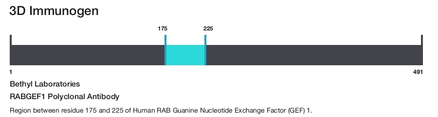 RABGEF1 Polyclonal Antibody