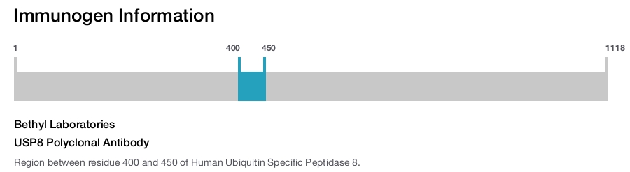 USP8 Polyclonal Antibody