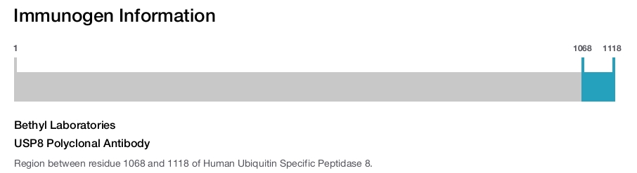 USP8 Polyclonal Antibody