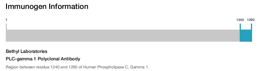 PLC-gamma 1 Polyclonal Antibody