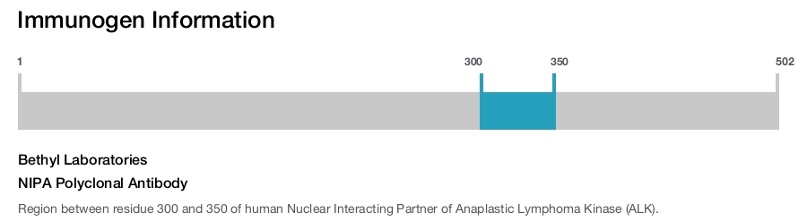 NIPA Polyclonal Antibody