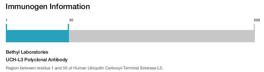 UCH-L3 Polyclonal Antibody