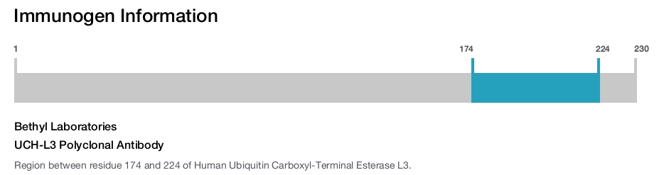 UCH-L3 Polyclonal Antibody