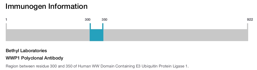 WWP1 Polyclonal Antibody