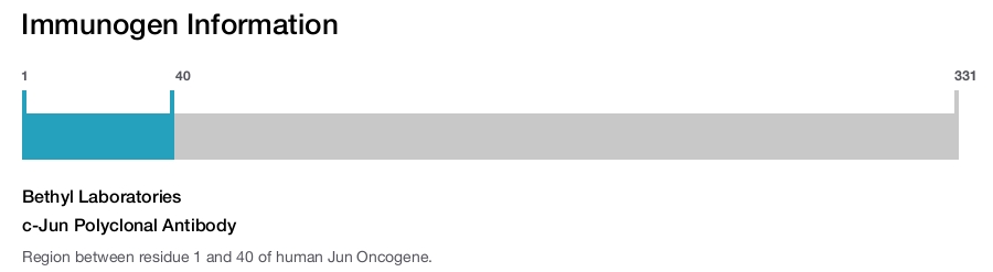 c-Jun Polyclonal Antibody