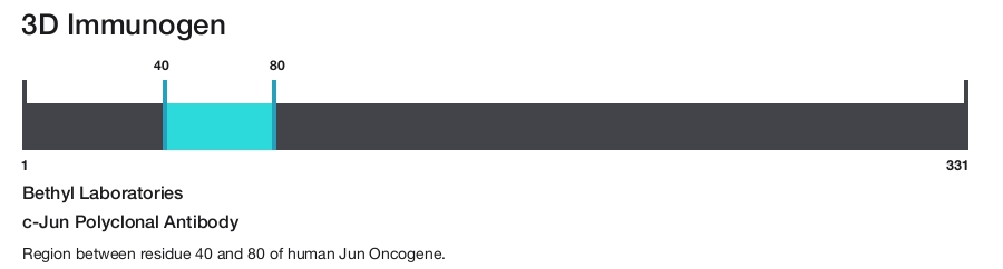 c-Jun Polyclonal Antibody